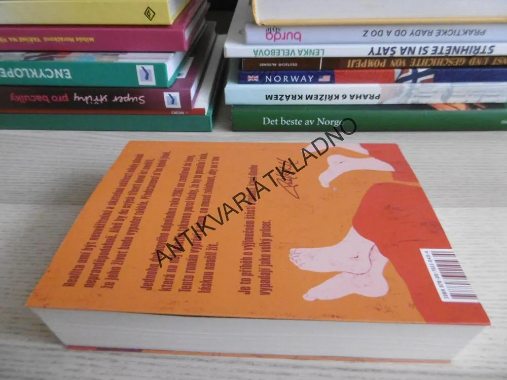 15 ROKŮ LÁSKY, PATRIK HARTL, **an