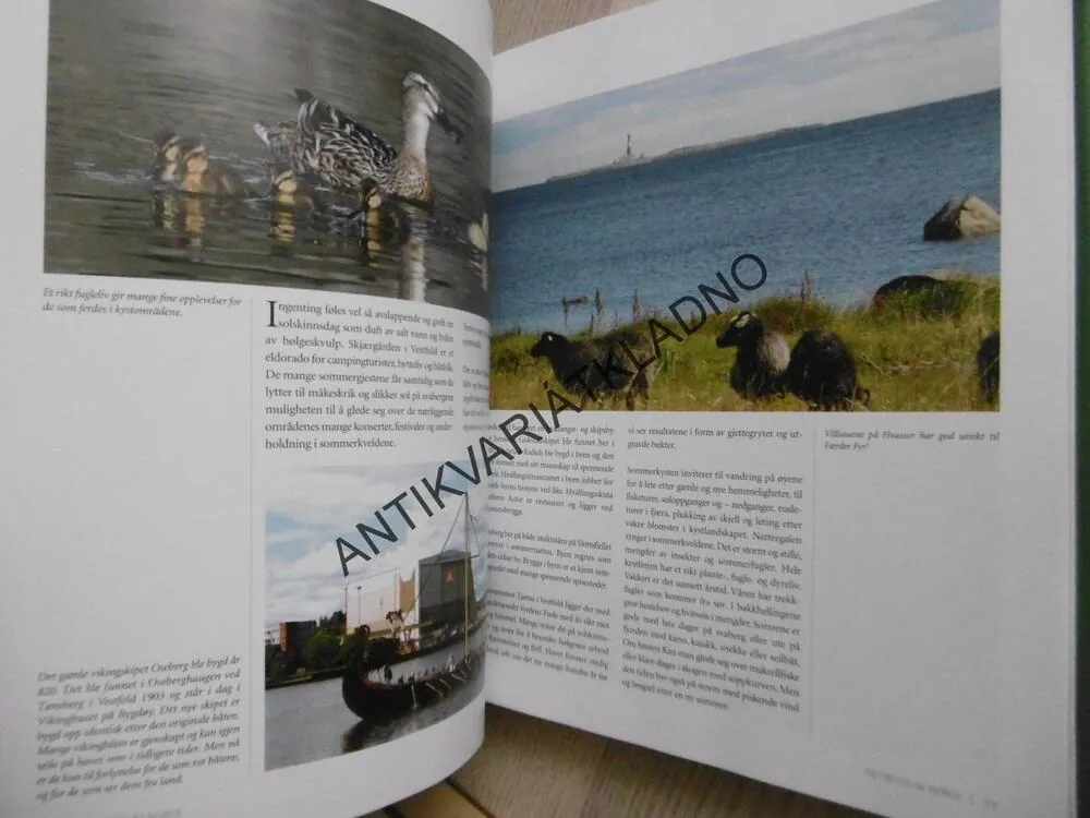 DET BESTE AV NORGE, RANDI LIND, TOMMY TINDLUND, NORSKO, NĚMECKY, **an