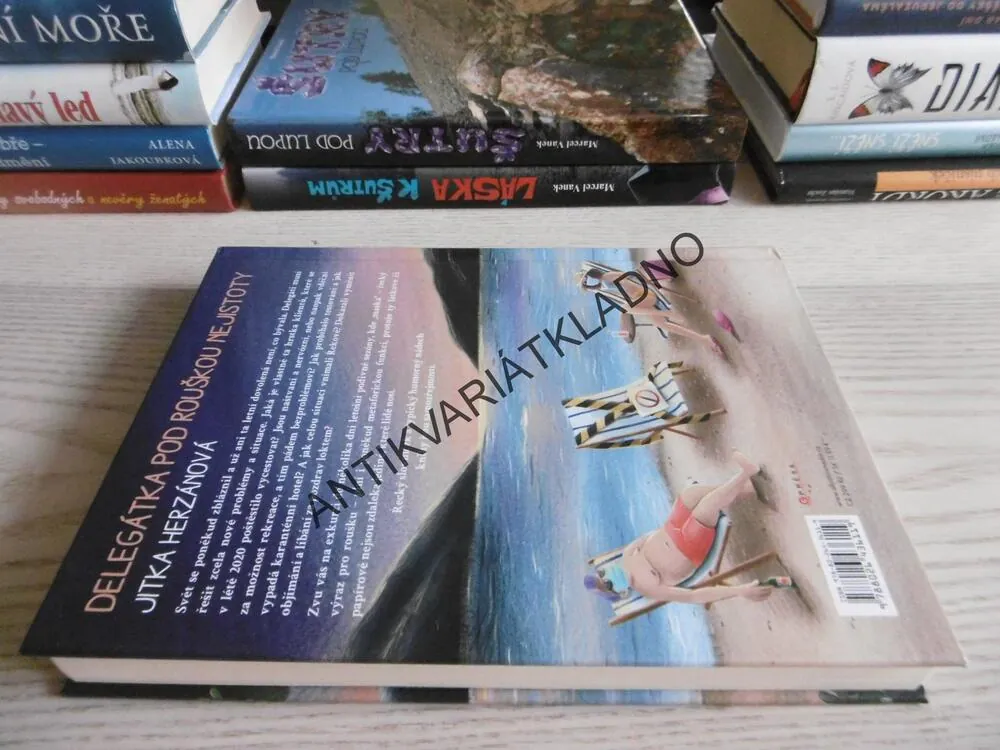 DELEGÁTKA POD ROUŠKOU NEJISTOTY, JITKA HERZÁNOVÁ, **an