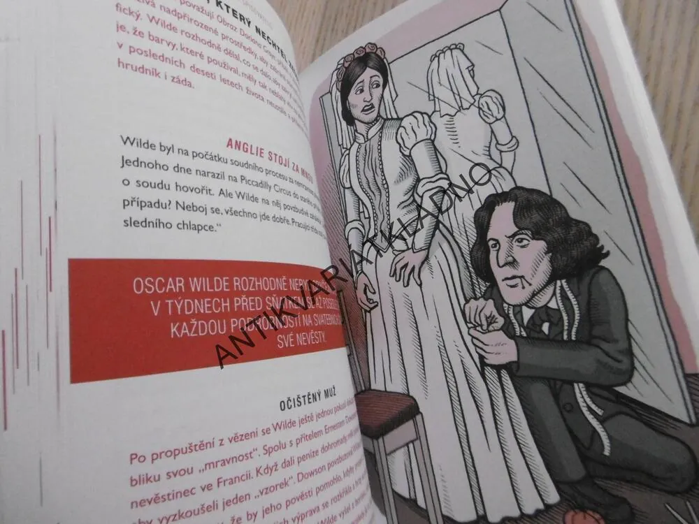 TAJNÉ ŽIVOTY SLAVNÝCH SPISOVATELŮ, ROBERT SCHNAKENBERG, **an