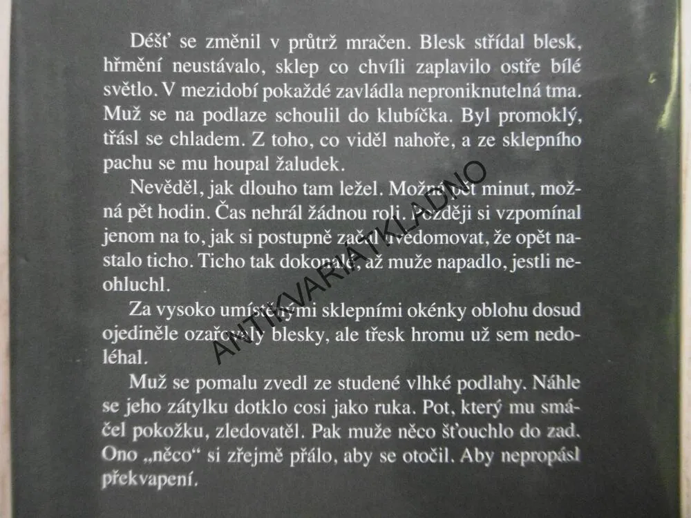 MINULÁ PROVINĚNÍ, TAMI HOAG,  **an