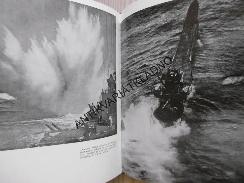 PONORKY ČÍHAJÍ, PAUL HERBERT FREYER, **an