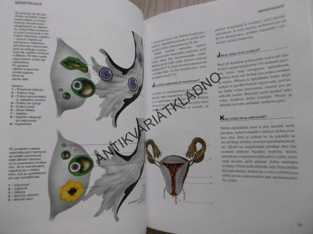 ENCYKLOPEDIE POHLAVNÍHO ŽIVOTA, DOSPÍVAJÍCÍ, COHEN, **an