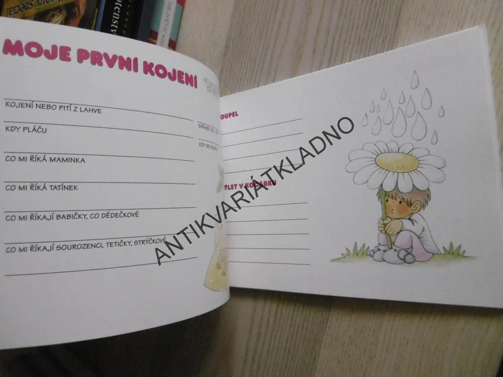 DENÍK NAŠEHO DĚŤÁTKA, NOVÉ, **an
