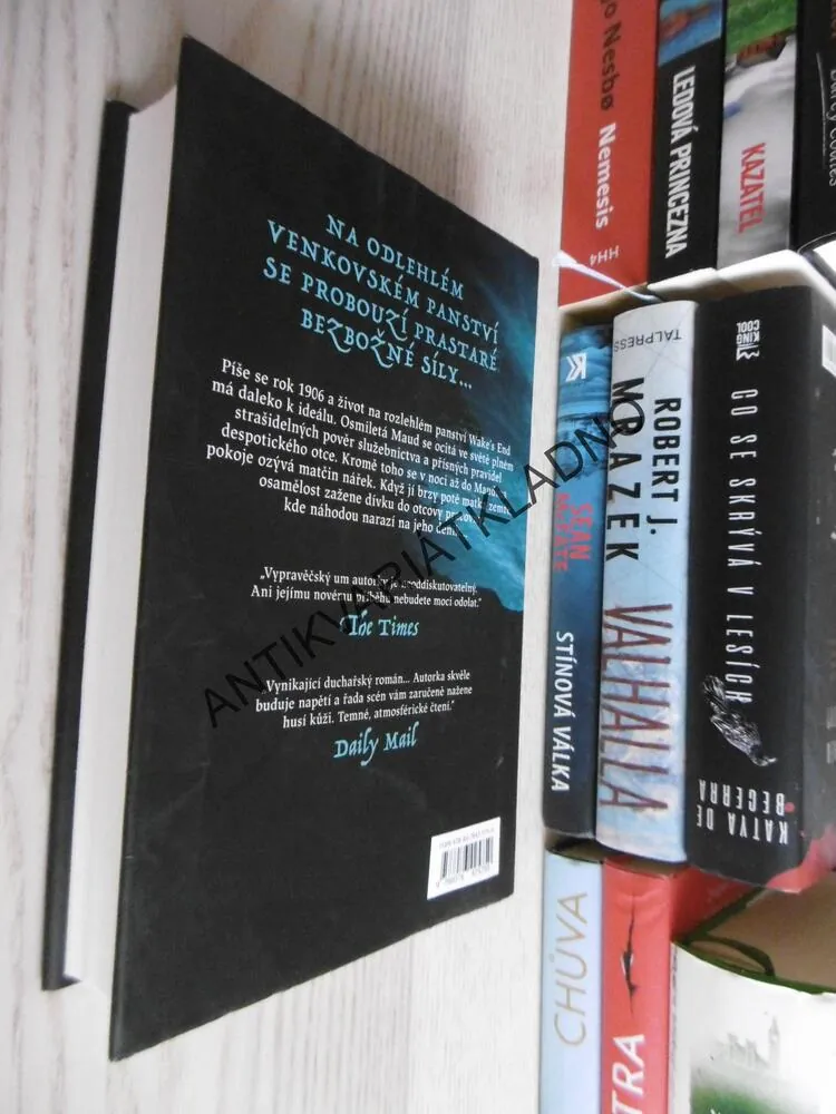 DĚS SÍDLA WAKE´S END, MICHELLE PAVER, **an