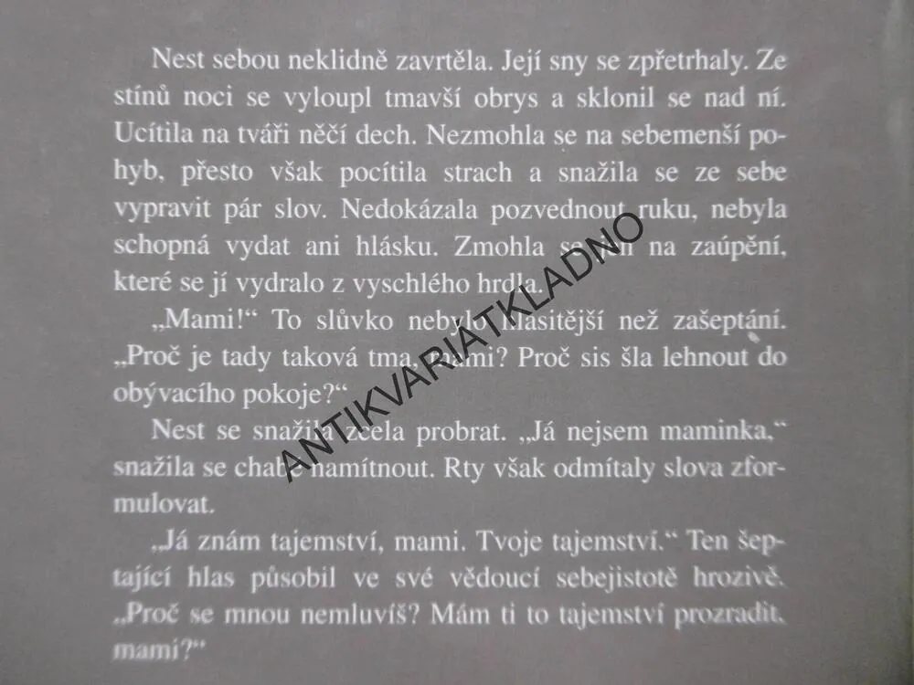 DŮM NAD STRŽÍ, MARCIA WILLETOVÁ, **an