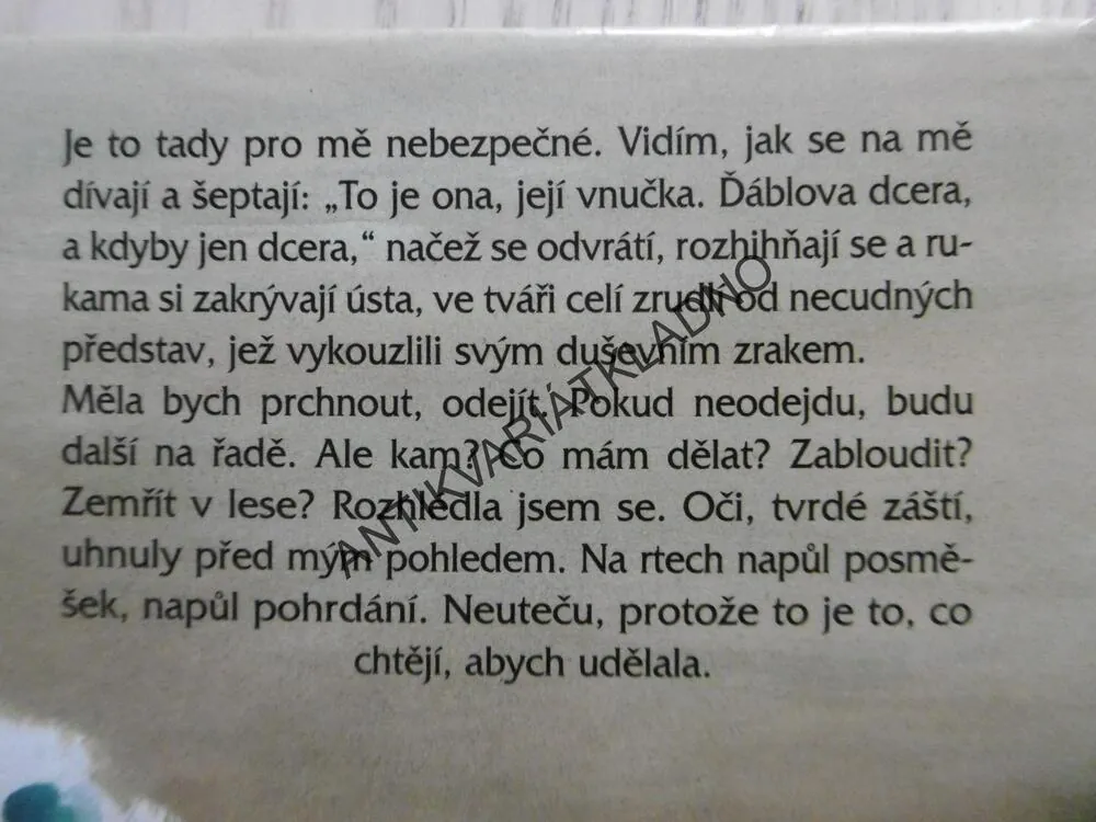 ČARODĚJNICE NA ÚTĚKU, CELIA REESOVÁ, **an