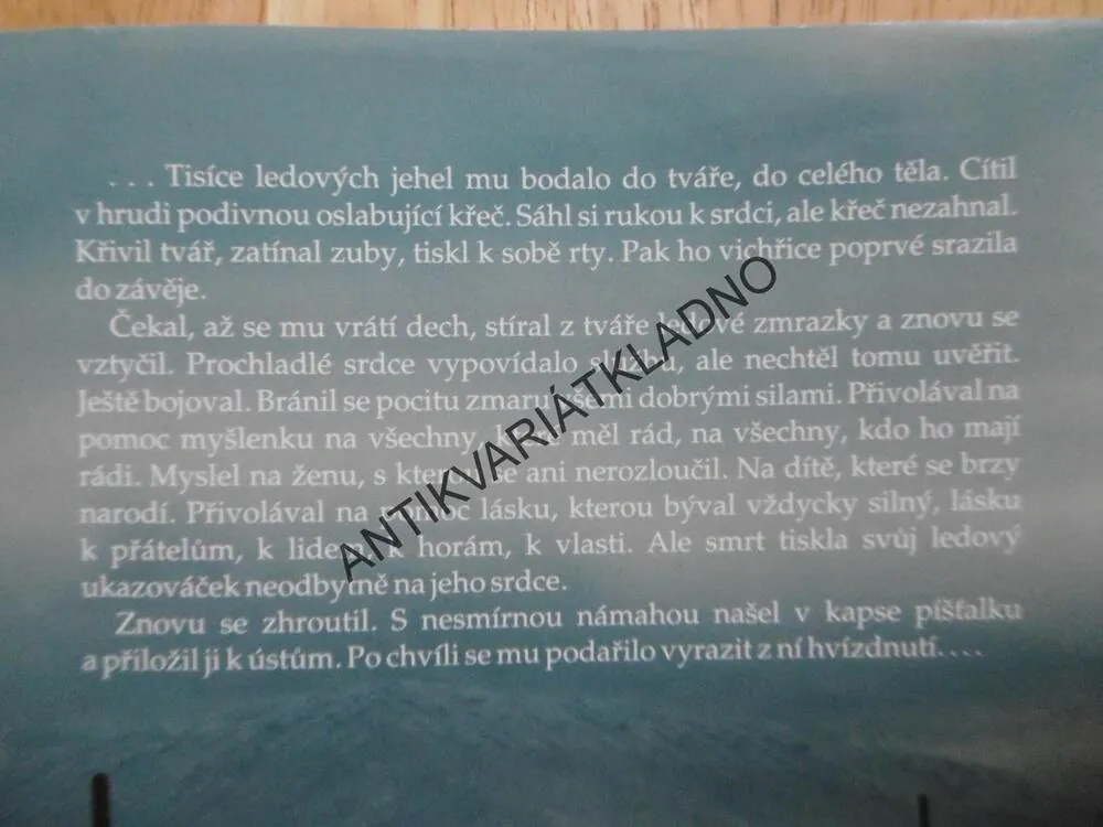 SYNOVÉ HOR, FRANTIŠEK KOŽÍK, LYŽE,LYŽOVÁNÍ, KRKONOŠE