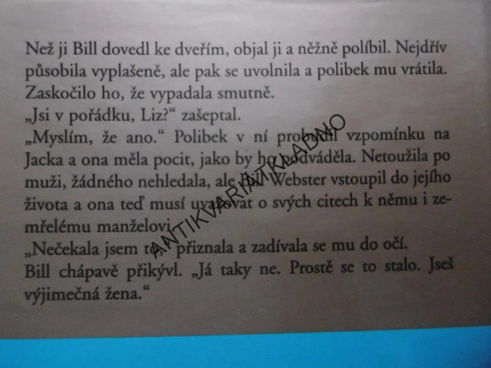 SÍLA ODVAHY, DANIELLE STEEL, **an