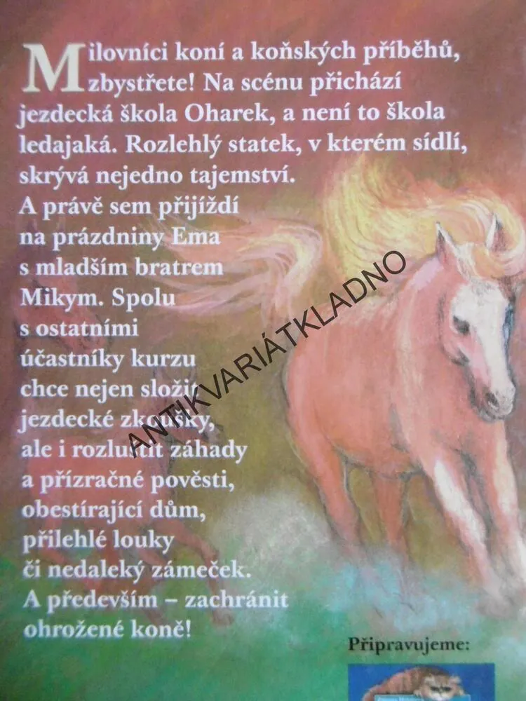 KŮŇ JMÉNEM ZÁZRAK, ZUZANA HOLASOVÁ, **an