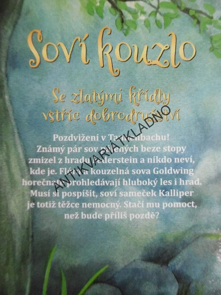 SOVÍ KOUZLO, MAGIE V GLITZERWALDSKÉM LESE, INA BRANDTOVÁ, **an
