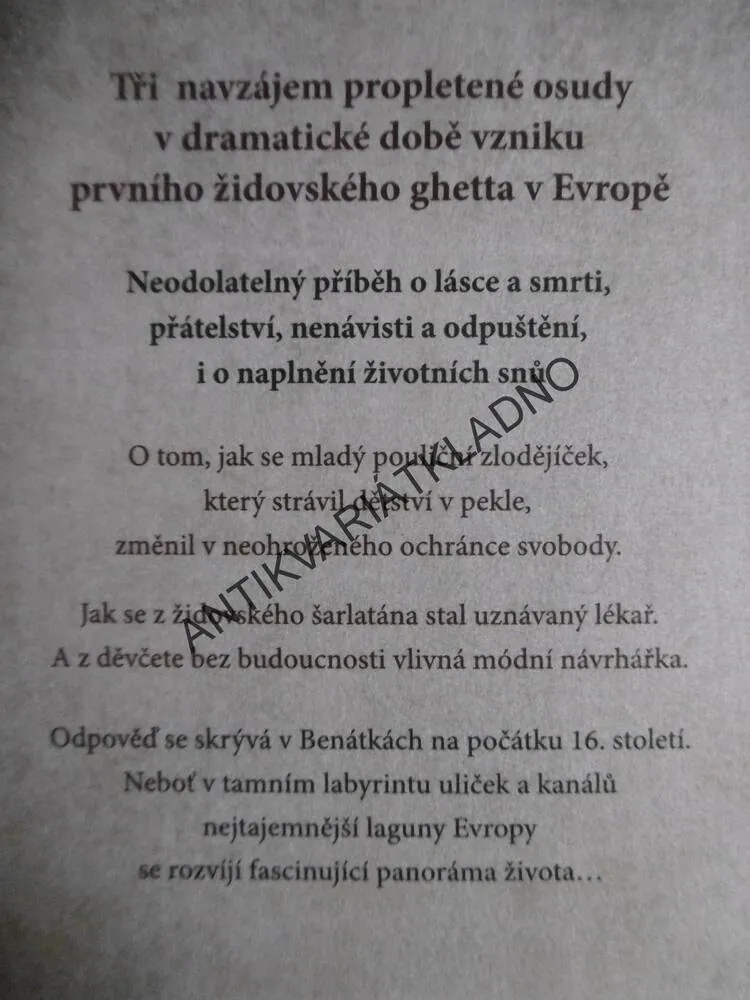 DÍVKA, KTERÁ SE DOTKLA NEBE, LUCA DI FULVIO, BESTSELLER