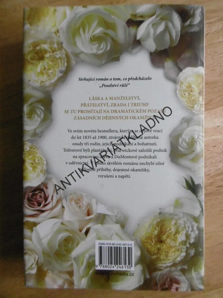 SEN O SOMERSETU, LEILA MEACHAMOVÁ, BESTSELLER,