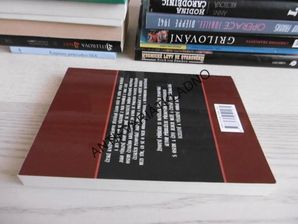 ŽENY ČESKÝCH VLÁDCŮ, VLADIMÍR LIŠKA, **an