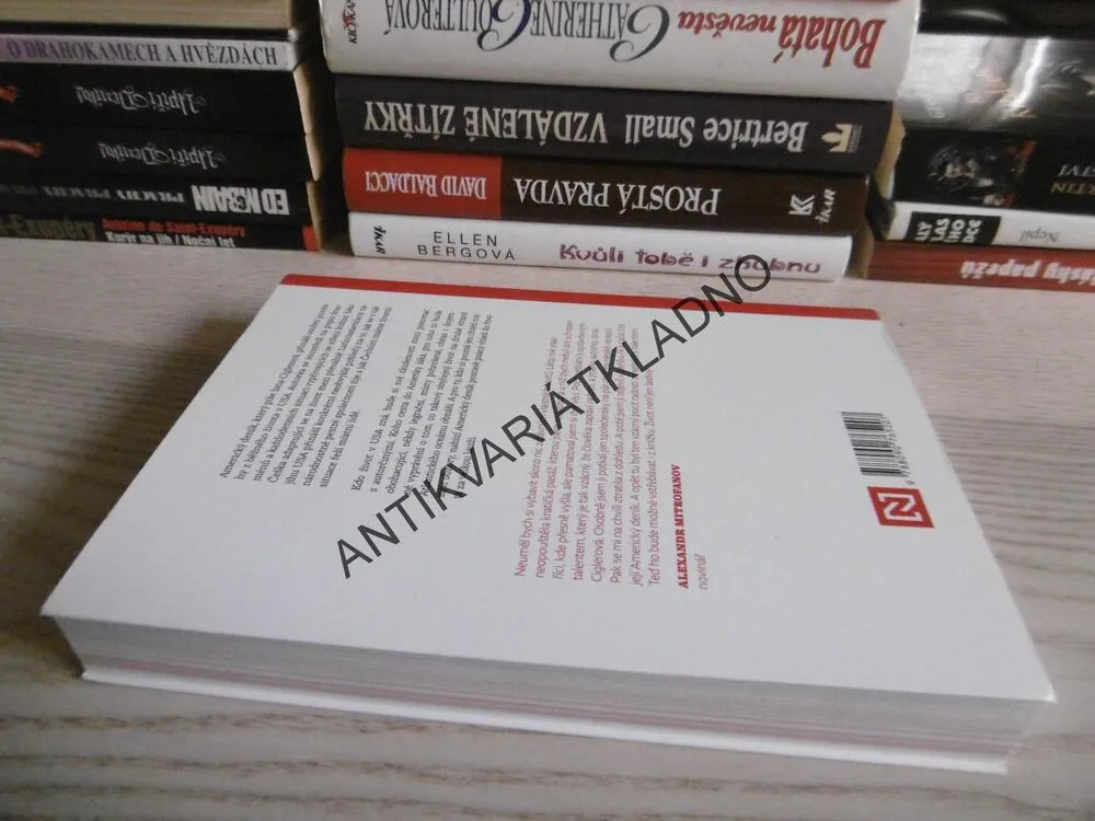 AMERICKÝ DENÍK, JANA CIGLEROVÁ, **an