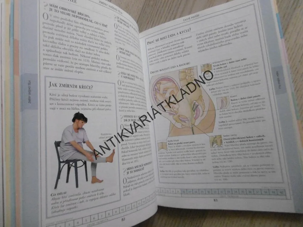 TĚHOTENSTVÍ V OTÁZKÁCH A ODPOVĚDÍCH, KARINA REYNOLDOSOVÁ, **an