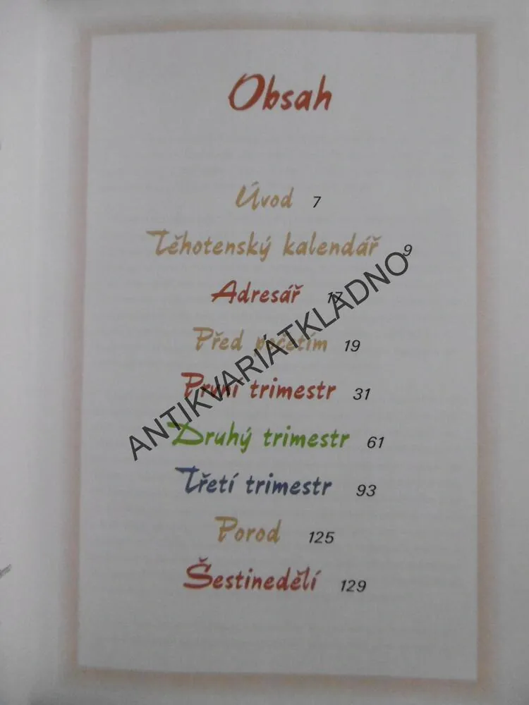 TĚHOTENSKÝ DENÍK, KATEŘINA ORLOVÁ, **an