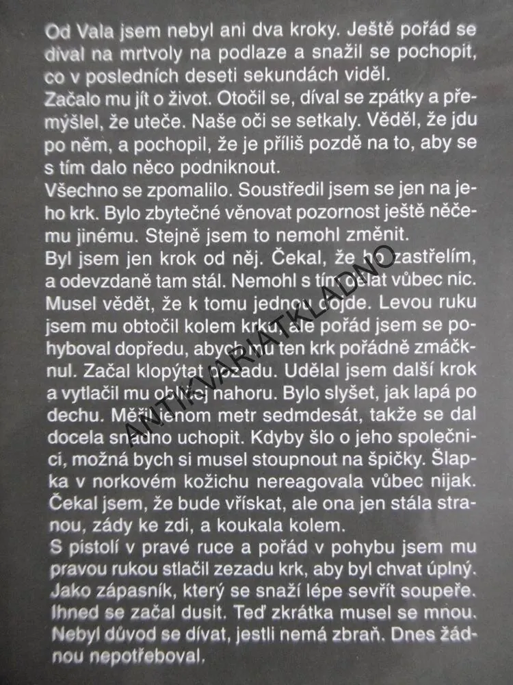SPÁLENÝ SNÍH, ANDY MCNAB, **an