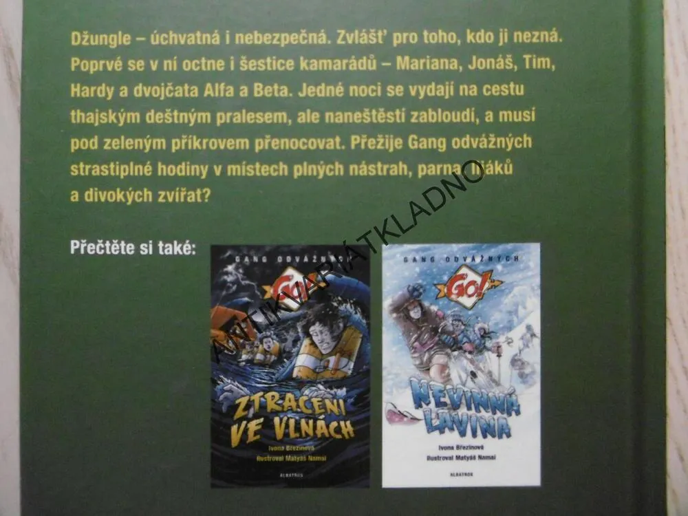 VE SPÁRECH DŽUNGLE, IVONA BŘEZINOVÁ, **an