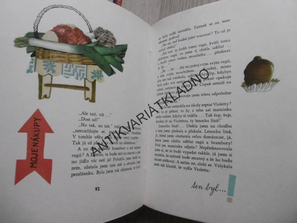 DŮM DROBNÝCH RADOSTÍ, COLETTE VIVIEROVÁ, **an