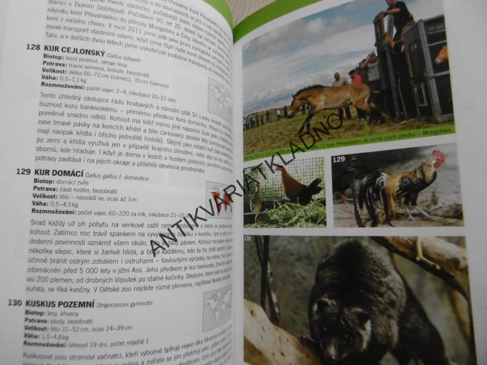 LEXIKON ZVÍŘAT OD A DO Z, ZOO PRAHA, **an