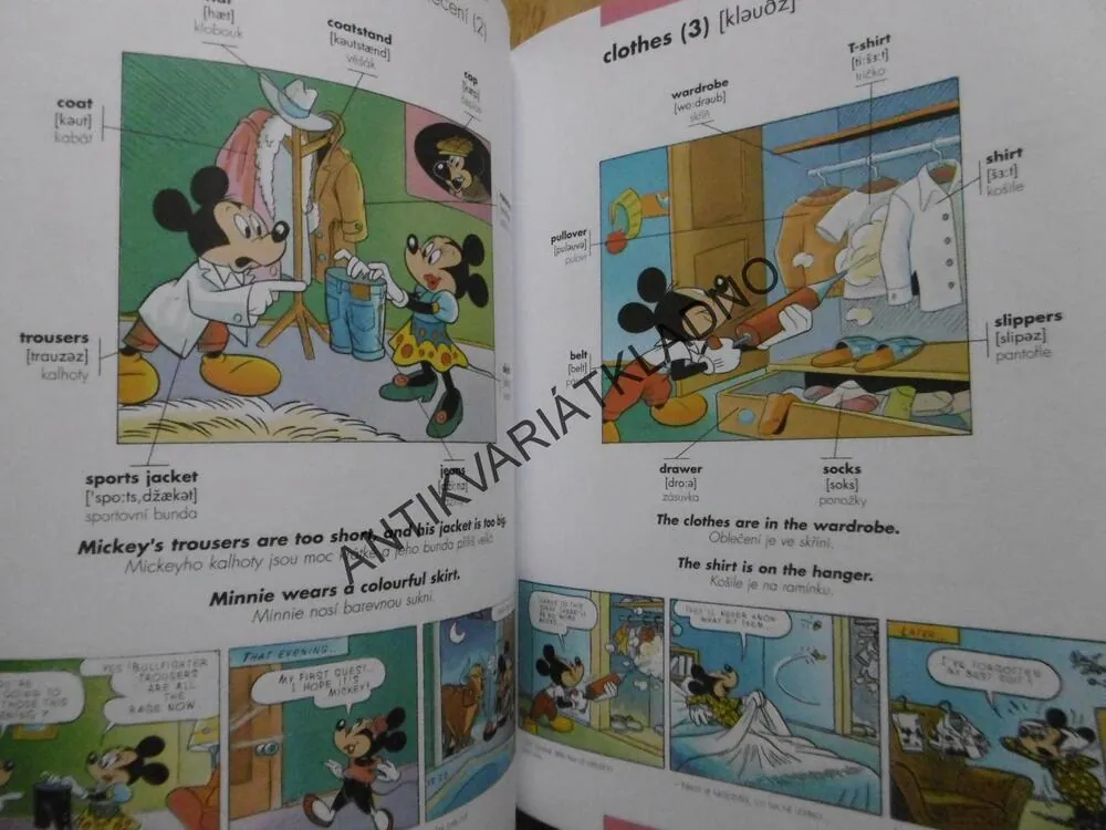 OBRÁZKOVÝ SLOVNÍK ANGLICKO ČESKÝ, 1000 SLOV, WALT DISNEY, **an