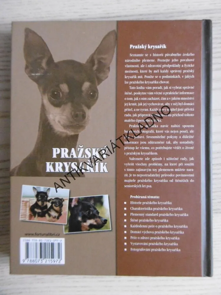 PRAŽSKÝ KRYSAŘÍK, CYRILA KARPFOVÁ