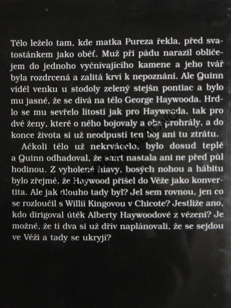 MUŽ, KTERÝ ZMIZEL, MARGARET MILLAROVÁ, **an