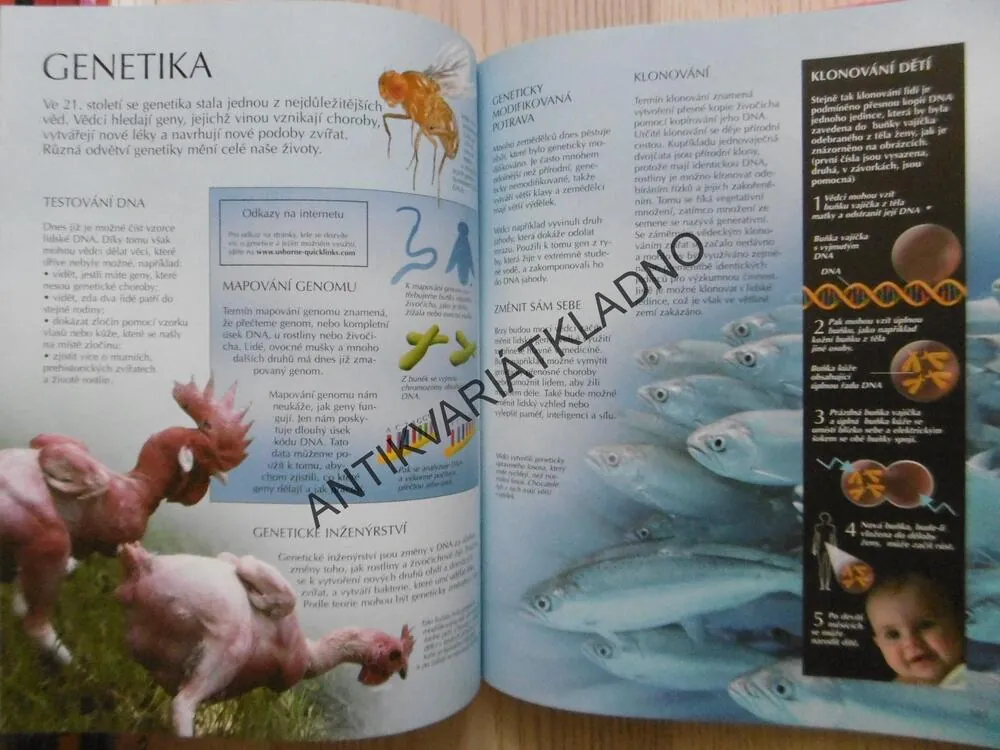 ENCYKLOPEDIE PRO CHYTRÉ DĚTI, SVOJTKA,, **an