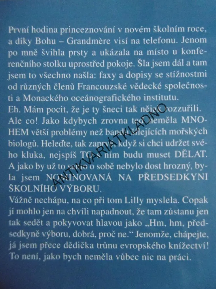 PRINCEZNA V ZÁCVIKU, MEG CABOTOVÁ, **an
