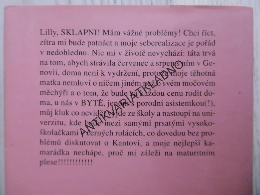 PRINCEZNÁM SLUŠÍ RŮŽOVÁ, MEG CABOTOVÁ, **an
