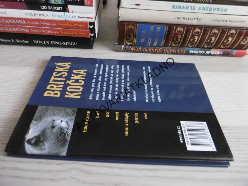 RÁDCE CHOVATELE, BRITSKÁ KOČKA, ESTER VERHOEF-VERHALLEN, **an