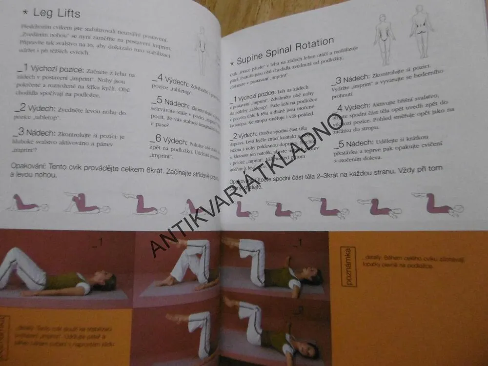 VELKÁ KNIHA PILATES, CVIKY PRO VŠECHNY ÚROVNĚ ZDATNOSTI, SPORT,CVIČENÍ