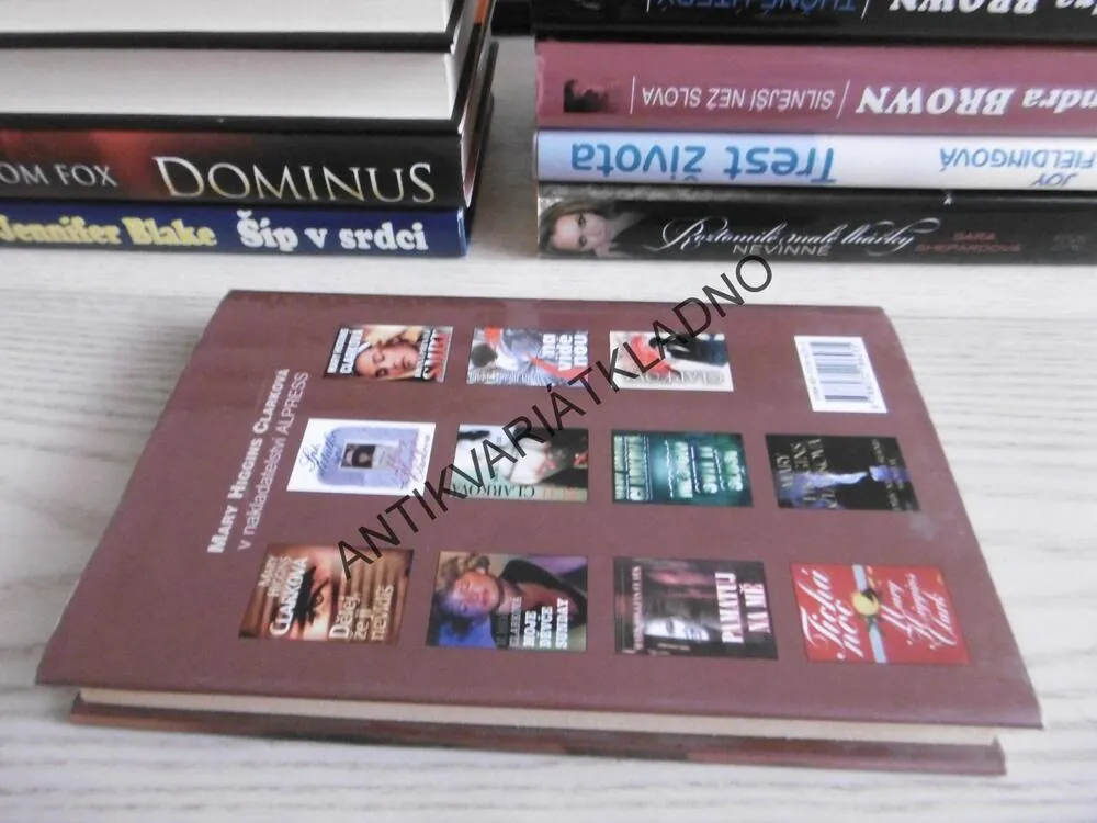 ÚNOS, CAROL HIGGINS CLARKOVÁ, MARY HIGGINS CLARKOVÁ, **an