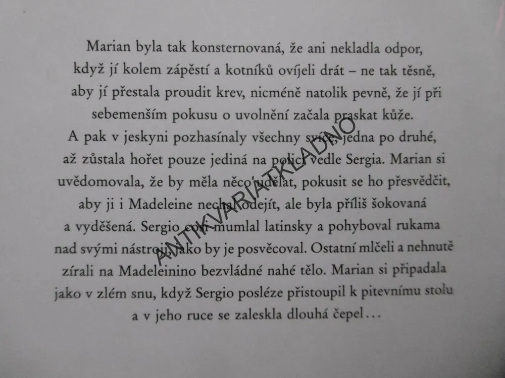 UKRADENÉ ZAČÁTKY, SUSAN LEWIS, **an