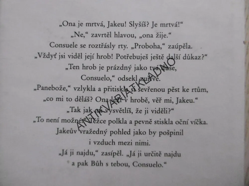 LETNÍ ŠÍLENSTVÍ, SUSAN LEWIS, **an