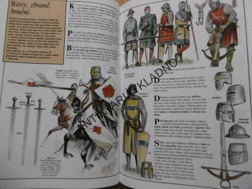 ČESKÉ ZEMĚ ZA POSLEDNÍCH PŘEMYSLOVCŮ, DĚJINY,BÍGL