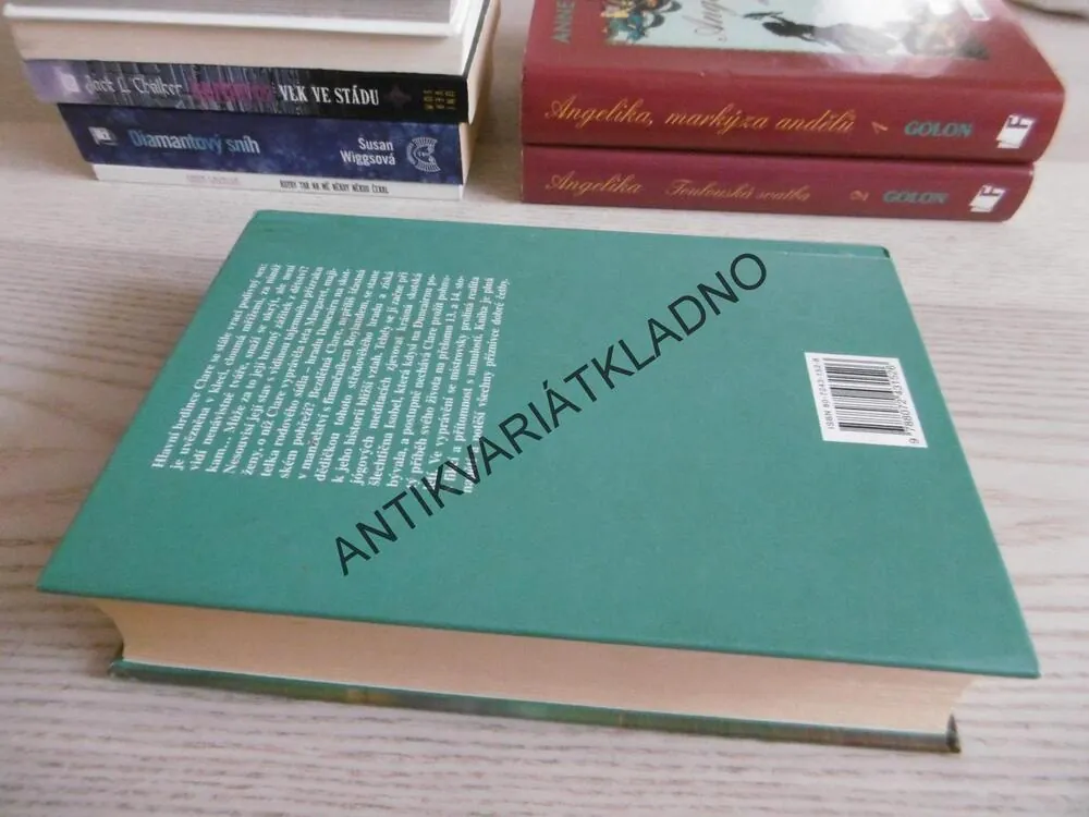 KRÁLOVSTVÍ STÍNŮ, BARBARA ERSKINOVÁ, **an