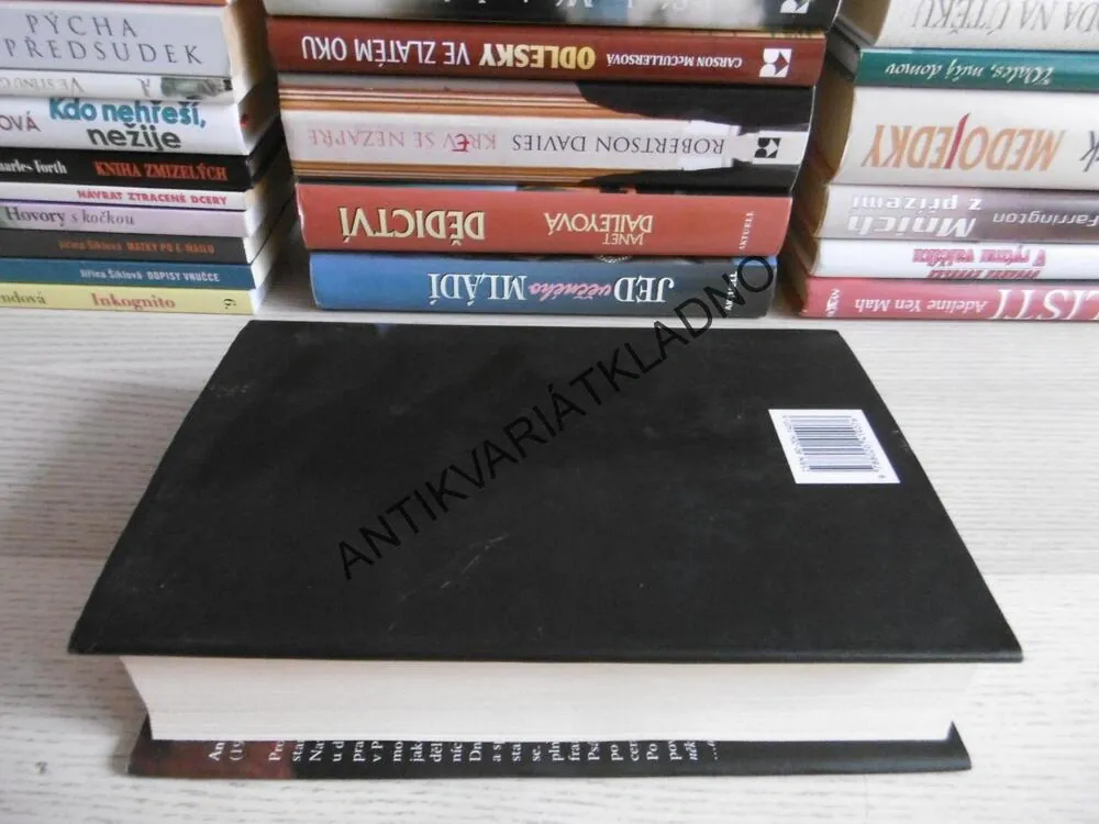 PROSTĚ SPOLU, ANNA GAVALDA, **an