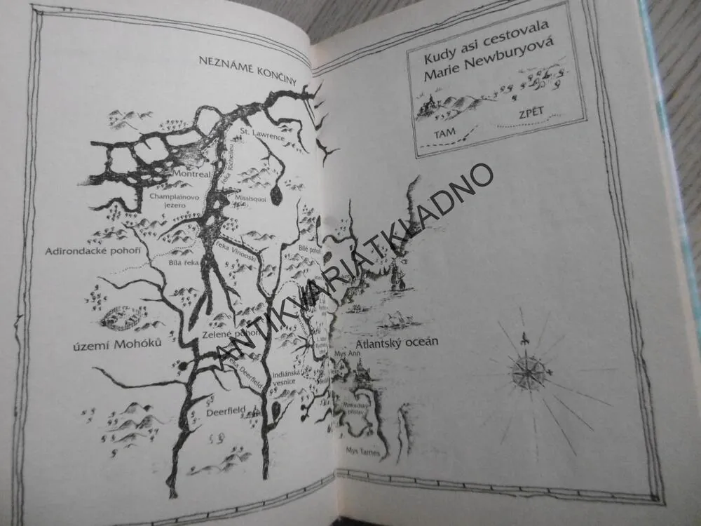 ČARODĚJNICE SE VRACÍ, CELIA REESOVÁ, **an