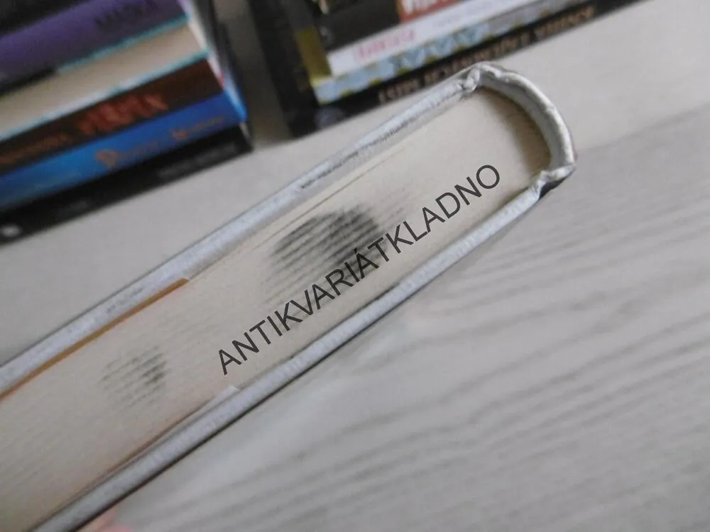DÍRY ANEB... TAJEMSTVÍ ZELENÉHO JEZERA, LOUIS SACHAR, **an