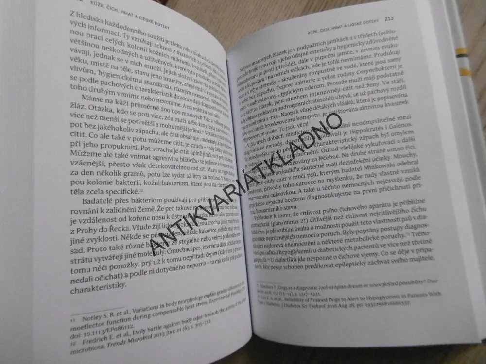 PSYCHOSOMATICKÁ PRVOUKA, RADKIN HONZÁK, **an