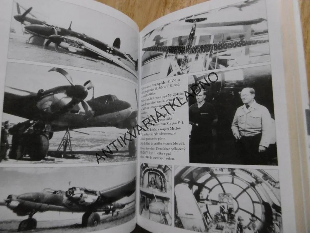 LUFTWAFFE NAD AMERIKOU, GRIEHL, VÁLKA, LETECTVÍ