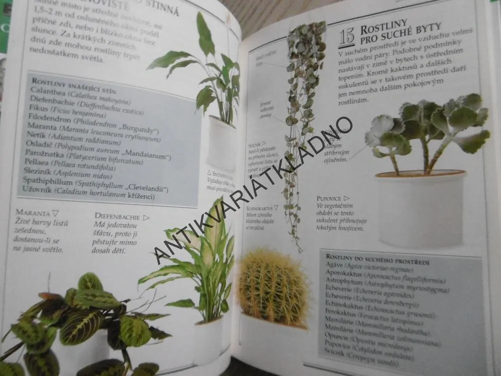 POKOJOVÉ ROSTLINY, 101 PRAKTICKÝCH RAD, tvrdá vazba, **an