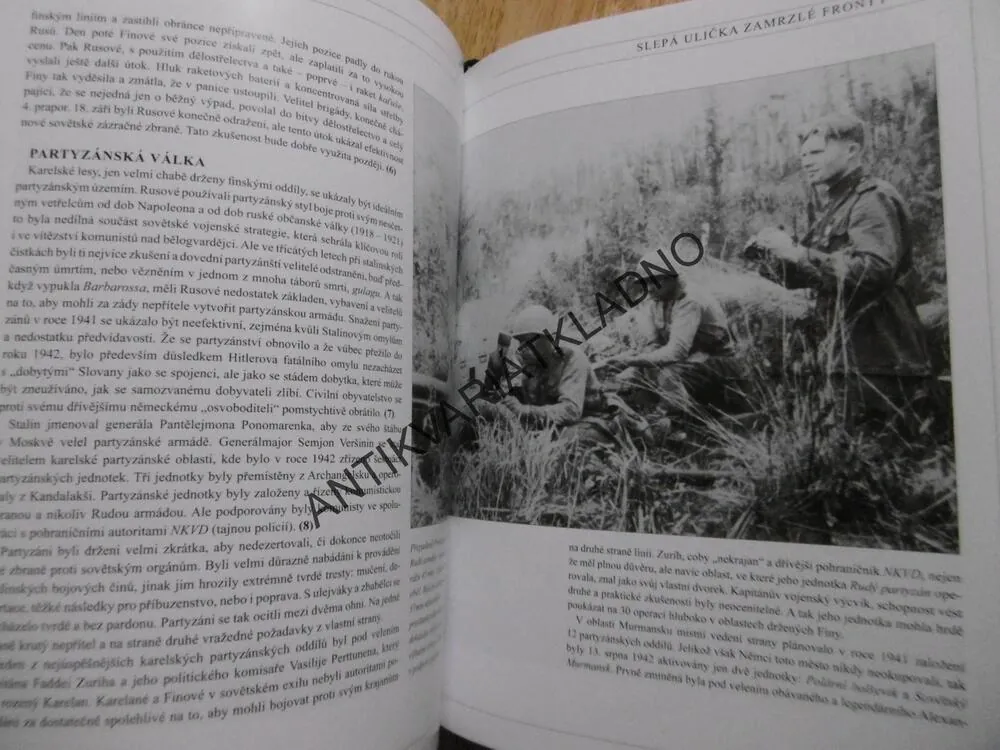 HITLEROVA ARKTICKÁ VÁLKA, NORSKO, FINSKO, SSSR, 1940-45, **an