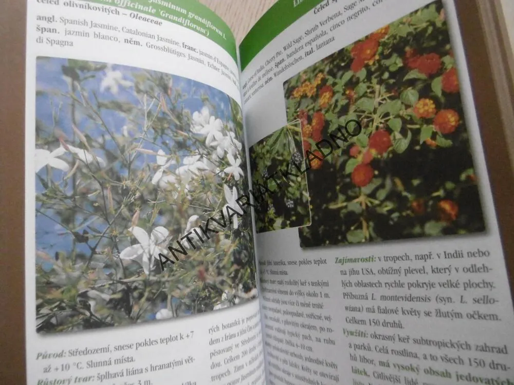 ZELENÍ SVĚTOBĚŽNÍCI, MARIE MUSILOVÁ, **an