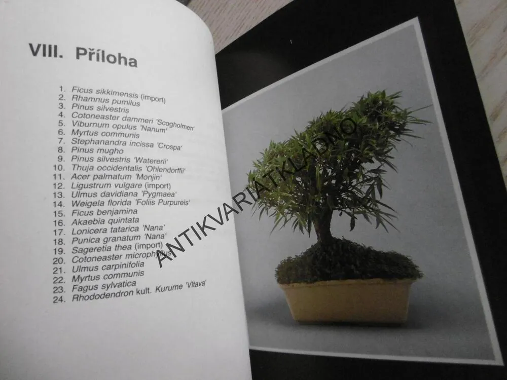 BONSAI, K. J. ŠTOLC, **an
