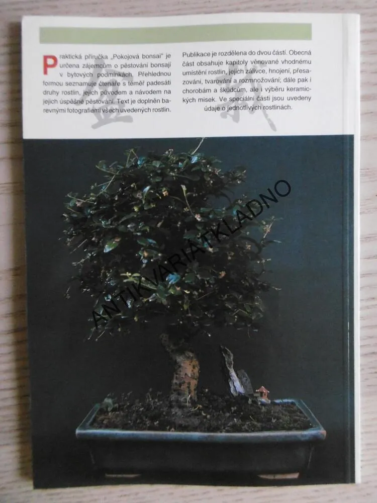 POKOJOVÁ BONSAI, JINDŘICH VOTÝPKA, **an