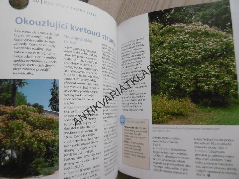 EXOTICKÉ ROSTLINY V ZAHRADĚ, TANJA RATSCH, **an