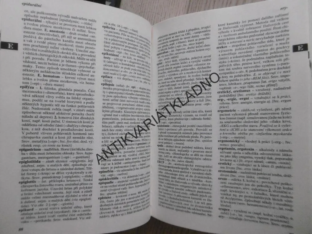 PRAKTICKÝ SLOVNÍK MEDICÍNY, **an